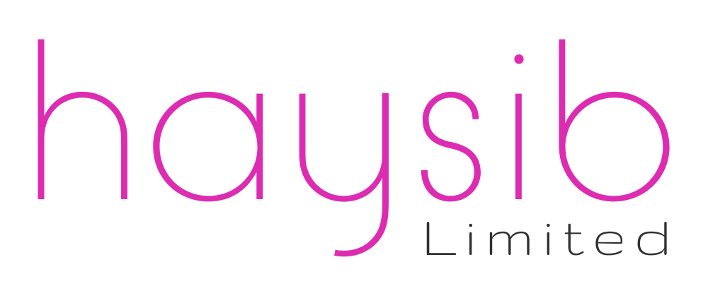 Haysib ltd logo (2)